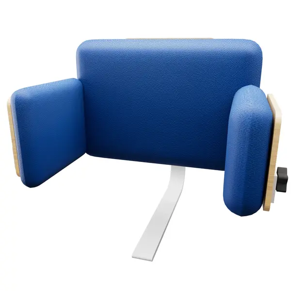 Back Support with Laterals